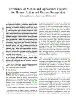 Covariance of Motion and Appearance Featuresfor Spatio Temporal
  Recognition Tasks