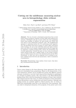 Cutting out the middleman: measuring nuclear area in histopathology
  slides without segmentation