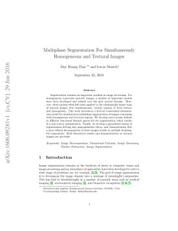 Multiphase Segmentation For Simultaneously Homogeneous and Textural
  Images