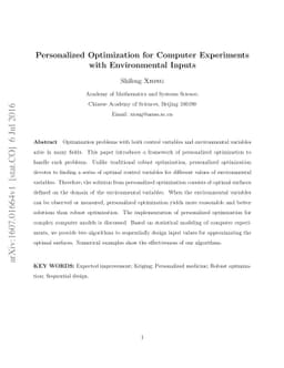 Personalized Optimization for Computer Experiments with Environmental
  Inputs