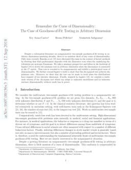 Remember the Curse of Dimensionality: The Case of Goodness-of-Fit
  Testing in Arbitrary Dimension