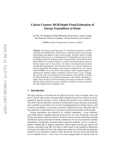Calorie Counter: RGB-Depth Visual Estimation of Energy Expenditure at
  Home