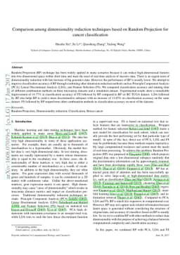 Comparison among dimensionality reduction techniques based on Random
  Projection for cancer classification