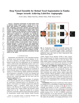 Deep Neural Ensemble for Retinal Vessel Segmentation in Fundus Images
  towards Achieving Label-free Angiography