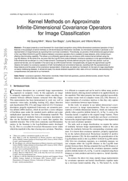 Kernel Methods on Approximate Infinite-Dimensional Covariance Operators
  for Image Classification