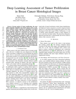 Deep Learning Assessment of Tumor Proliferation in Breast Cancer
  Histological Images