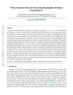 What is the Best Way for Extracting Meaningful Attributes from Pictures?