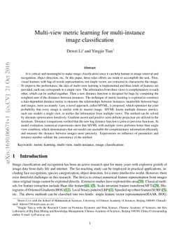 Multi-view metric learning for multi-instance image classification
