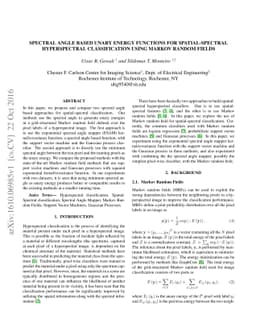 Spectral Angle Based Unary Energy Functions for Spatial-Spectral
  Hyperspectral Classification using Markov Random Fields