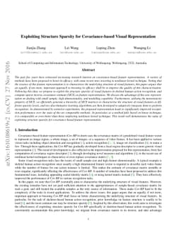 Exploiting Structure Sparsity for Covariance-based Visual Representation