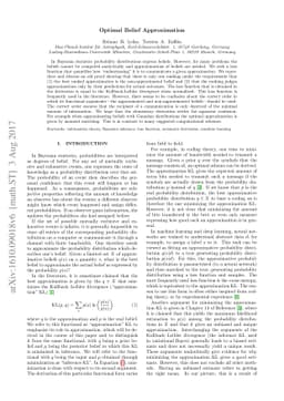 Optimal Belief Approximation