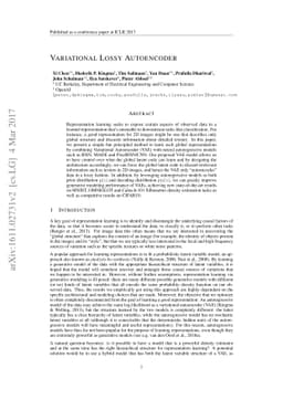 Variational Lossy Autoencoder