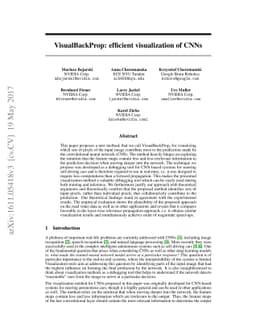 VisualBackProp: efficient visualization of CNNs