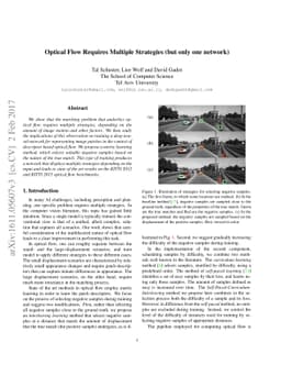 Optical Flow Requires Multiple Strategies (but only one network)