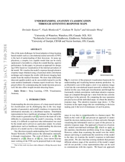 Understanding Anatomy Classification Through Attentive Response Maps