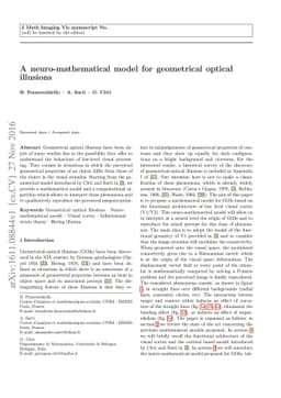 A neuro-mathematical model for geometrical optical illusions