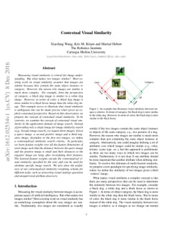 Contextual Visual Similarity