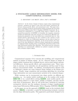 A Stochastic Large Deformation Model for Computational Anatomy