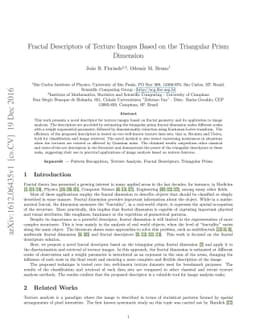 Fractal Descriptors of Texture Images Based on the Triangular Prism
  Dimension