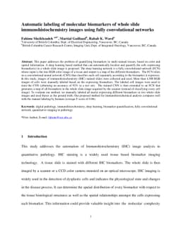 Automatic labeling of molecular biomarkers of whole slide
  immunohistochemistry images using fully convolutional networks