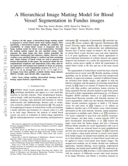 A Hierarchical Image Matting Model for Blood Vessel Segmentation in
  Fundus images