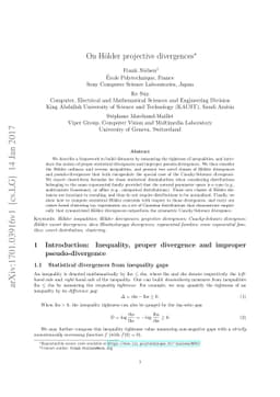 On Hölder projective divergences