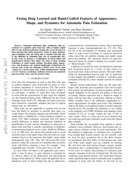 Fusing Deep Learned and Hand-Crafted Features of Appearance, Shape, and
  Dynamics for Automatic Pain Estimation