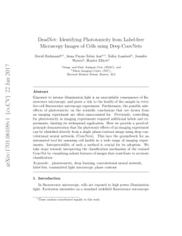DeadNet: Identifying Phototoxicity from Label-free Microscopy Images of
  Cells using Deep ConvNets