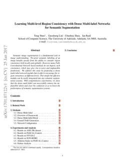 Learning Multi-level Region Consistency with Dense Multi-label Networks
  for Semantic Segmentation