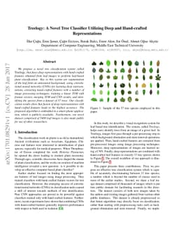 Treelogy: A Novel Tree Classifier Utilizing Deep and Hand-crafted
  Representations
