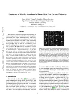Emergence of Selective Invariance in Hierarchical Feed Forward Networks
