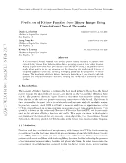 Prediction of Kidney Function from Biopsy Images Using Convolutional
  Neural Networks