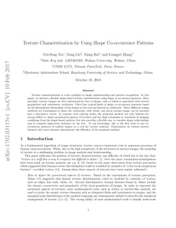 Texture Characterization by Using Shape Co-occurrence Patterns