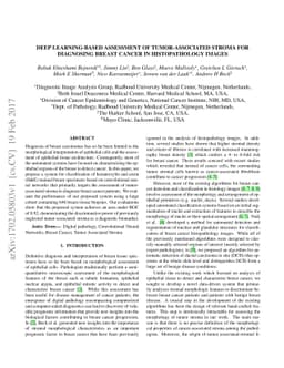 Deep learning-based assessment of tumor-associated stroma for diagnosing
  breast cancer in histopathology images