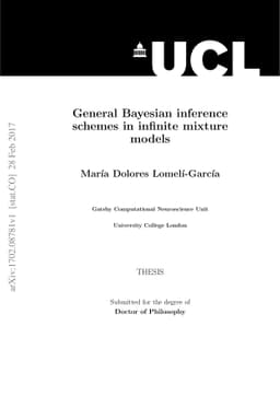 General Bayesian inference schemes in infinite mixture models