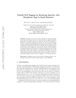 Turkish PoS Tagging by Reducing Sparsity with Morpheme Tags in Small
  Datasets