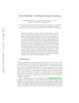 Label Stability in Multiple Instance Learning