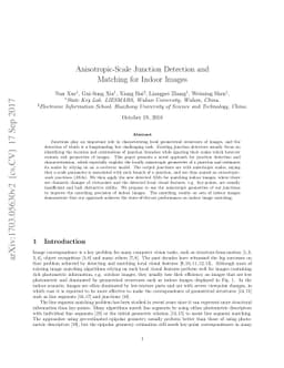 Anisotropic-Scale Junction Detection and Matching for Indoor Images