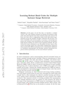 Learning Robust Hash Codes for Multiple Instance Image Retrieval