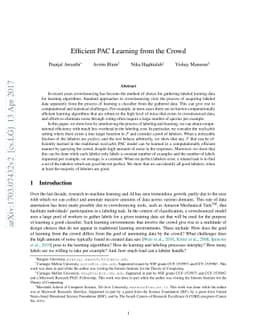 Efficient PAC Learning from the Crowd