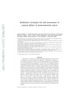 Radiomics strategies for risk assessment of tumour failure in
  head-and-neck cancer