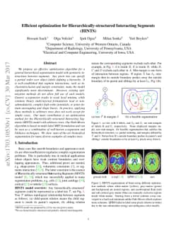 Efficient optimization for Hierarchically-structured Interacting
  Segments (HINTS)
