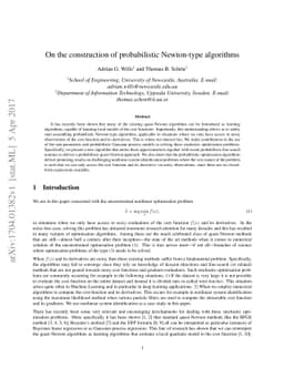 On the construction of probabilistic Newton-type algorithms