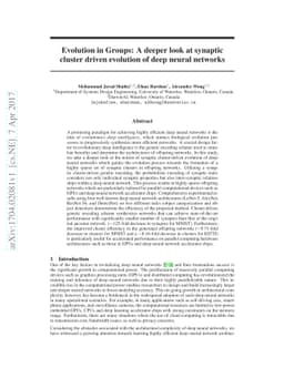 Evolution in Groups: A deeper look at synaptic cluster driven evolution
  of deep neural networks