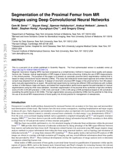 Segmentation of the Proximal Femur from MR Images using Deep
  Convolutional Neural Networks