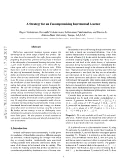 A Strategy for an Uncompromising Incremental Learner