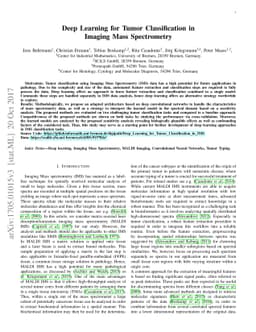 Deep Learning for Tumor Classification in Imaging Mass Spectrometry