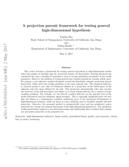 A projection pursuit framework for testing general high-dimensional
  hypothesis