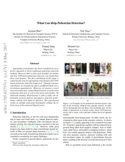 What Can Help Pedestrian Detection?