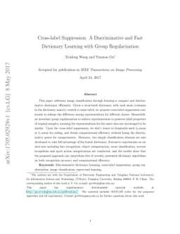 Cross-label Suppression: A Discriminative and Fast Dictionary Learning
  with Group Regularization